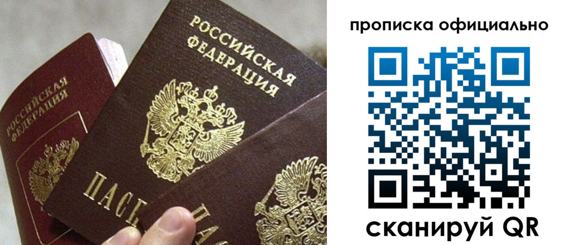 прописка гарантия в Лосино-Петровском